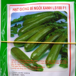 Hạt giống bí ngòi xanh