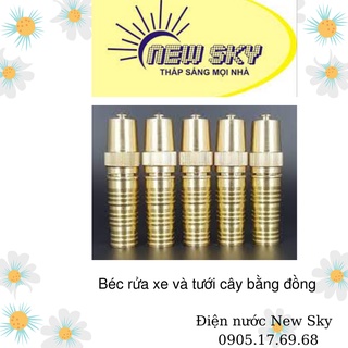Béc rửa xe và tưới cây bằng đồng