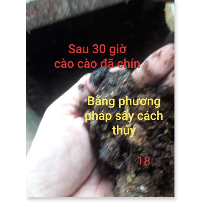 HẠT CÀO CÀO NON, THAY THẾ MỒI TƯƠI 100GRAM  -Uy tín - Chất Lượng