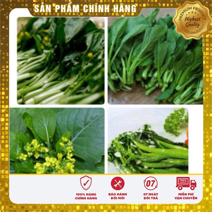 Hạt giống Rau Cải Ngồng Mập ( 20 gram)