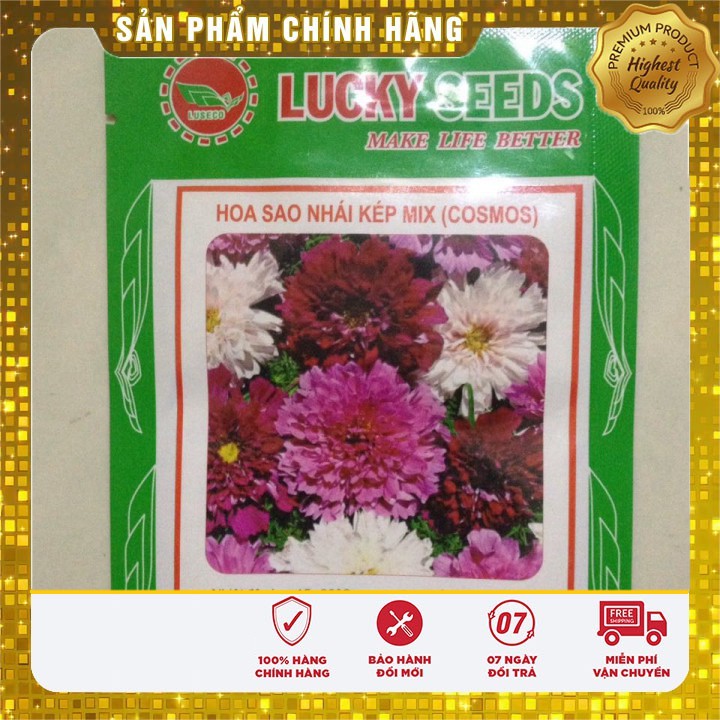 Hạt Giống Cúc Sao Nhái Kép Mix 50 hạt