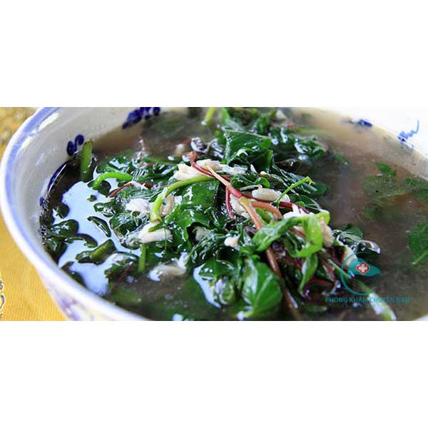 Hạt Giống Rau Sam Giàu Dinh Dưỡng  -