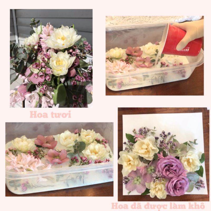 Cát làm hoa khô tái sử dụng - Silica Gel - Nguyên liệu thủ công để lưu giữ hoa, làm epoxy Resin, tranh hoa khô