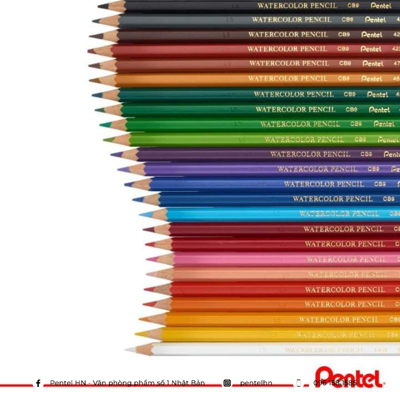 Bút Chì Màu Nước CAO CẤP PENTEL CB9 | Chất Chì Mềm, Dễ Tán, Dễ Pha Trộn Màu