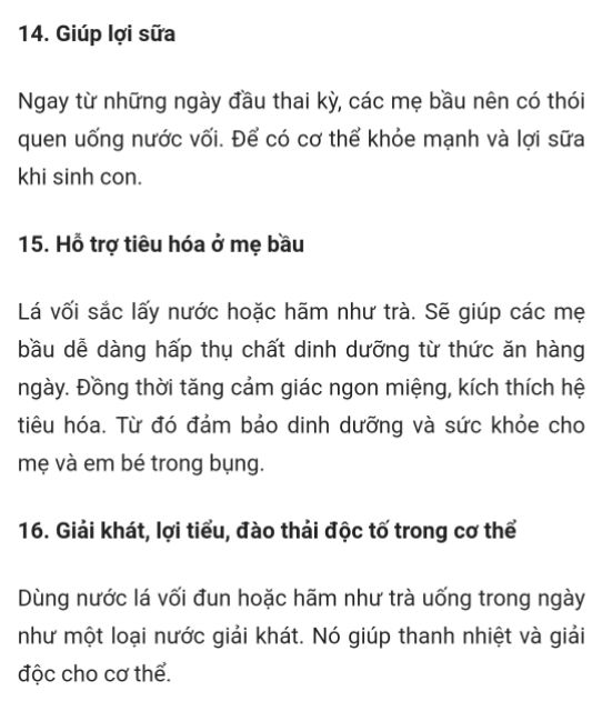 Lá Vối nếp Lâm Đồng tươi/khô uống trị bệnh