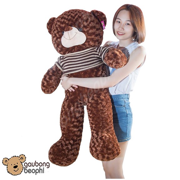 GẤU BÔNG TEDDY MÀU SOCOLA KHỔ VẢI 1M2 - GẤU TEDDY