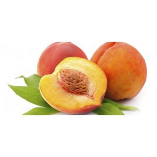 CÂY GIỐNG ĐÀO TIÊN NHẬT BẢN