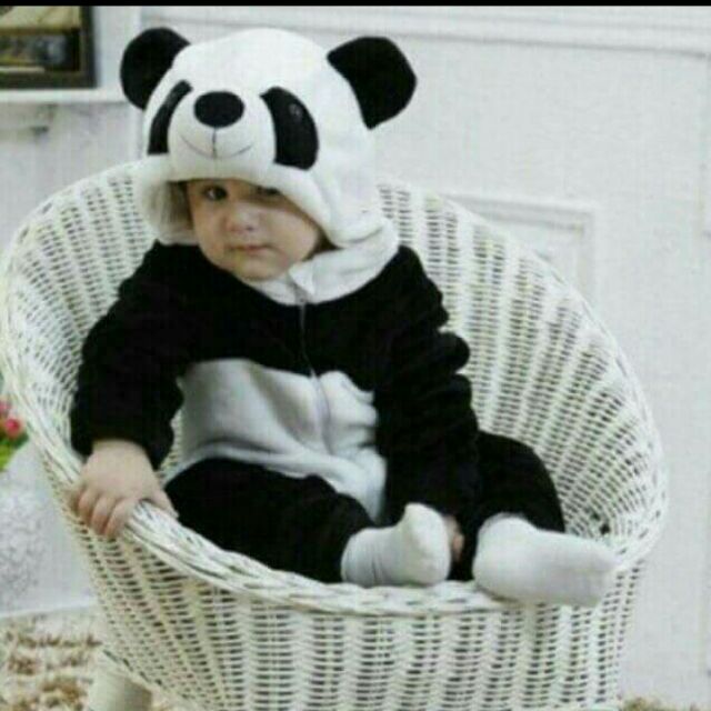 Body gấu trúc