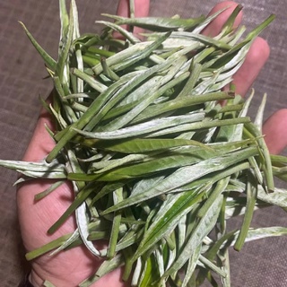 BẠCH TRÀ #bachtra