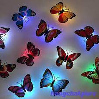 Sticker dán tường 3d hình bướm
