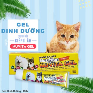 Gel dinh dưỡng cho mèo - Gel Nuvita bổ sung đầy đủ khoáng chất - Hàng chuẩn chính hãng 100%