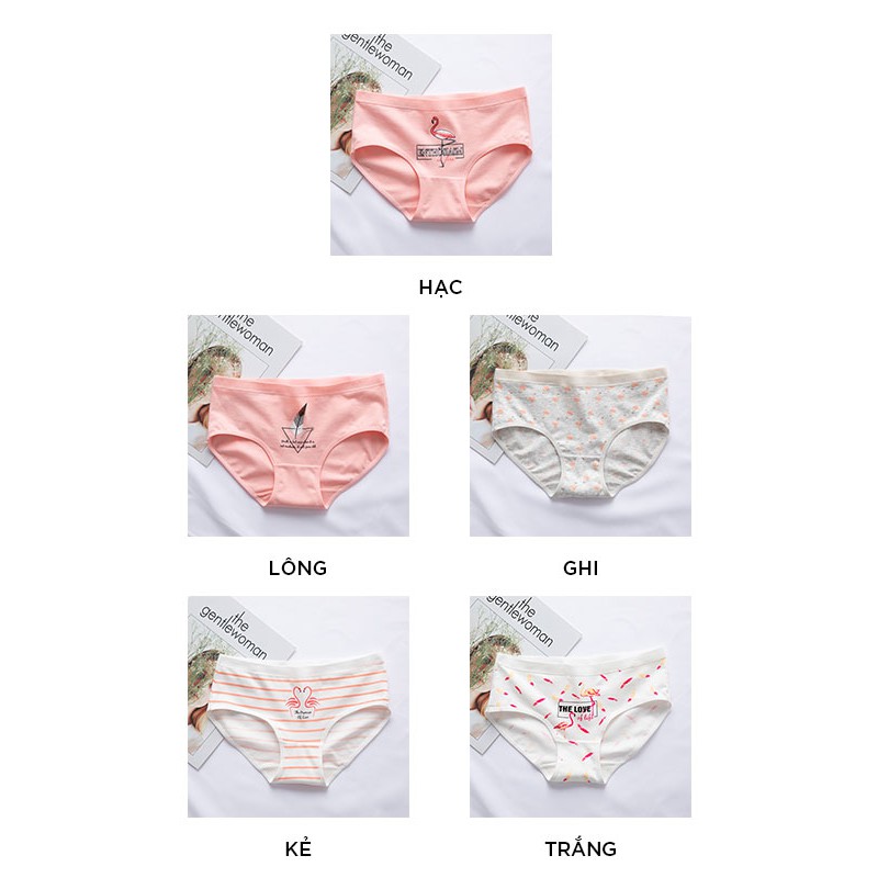 Quần lót nữ cotton cao cấp co giãn kháng khuẩn in hình đáng yêu dễ thương QL25 | BigBuy360 - bigbuy360.vn