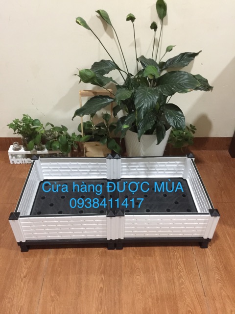 Chậu lắp ghép trồng rau thông minh- 80x40x22cm