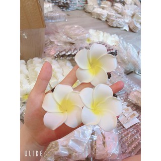 Set kẹp tóc 25 món