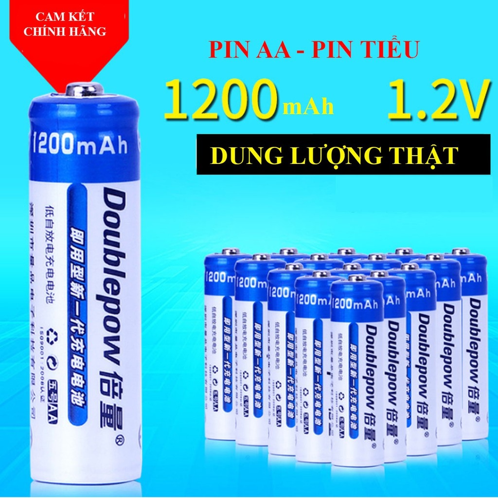 Bộ sạc pin Doublepow chính hãng dùng để sạc pin AA/AAA Kèm 04 pin sạc AA