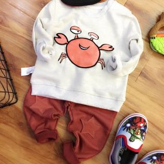 Combo bộ Zara Cua