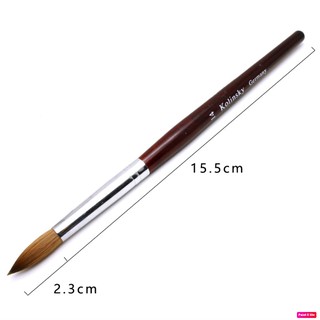 Cọ Đắp Bột Nail Size 14 50% Lông Tự Nhiên Kolinsky Germany Cán Gỗ