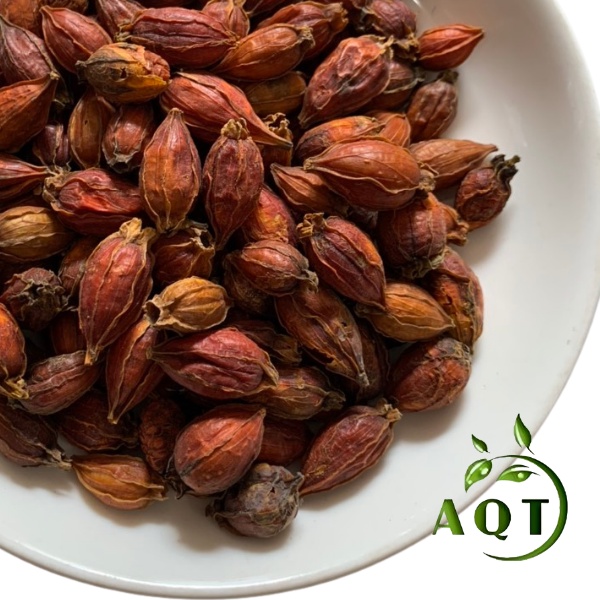 500g Chi Tử Khô (Hạt Dành Dành), Quả Chi Tử Gia Vị Tạo Màu Tự Nhiên, Thanh Nhiệt Giải Độc