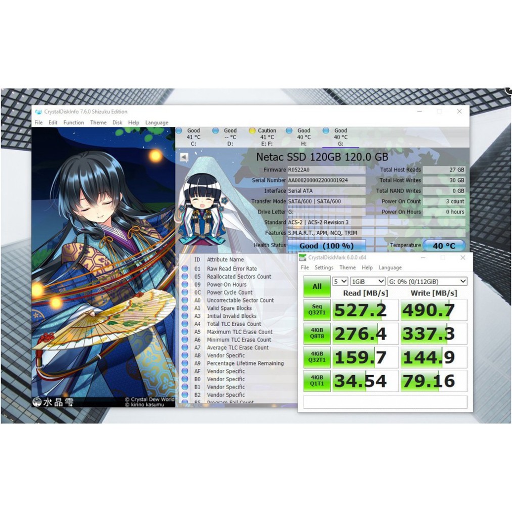 HDGD Ổ cứng SSD 120GB Netac N535S SATA III 6GB/s 2.5 inch Bảo Hành 36 Tháng 25 UB1 | BigBuy360 - bigbuy360.vn