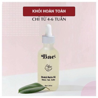 TINH CHẤT TRỊ RẠN DA BAE