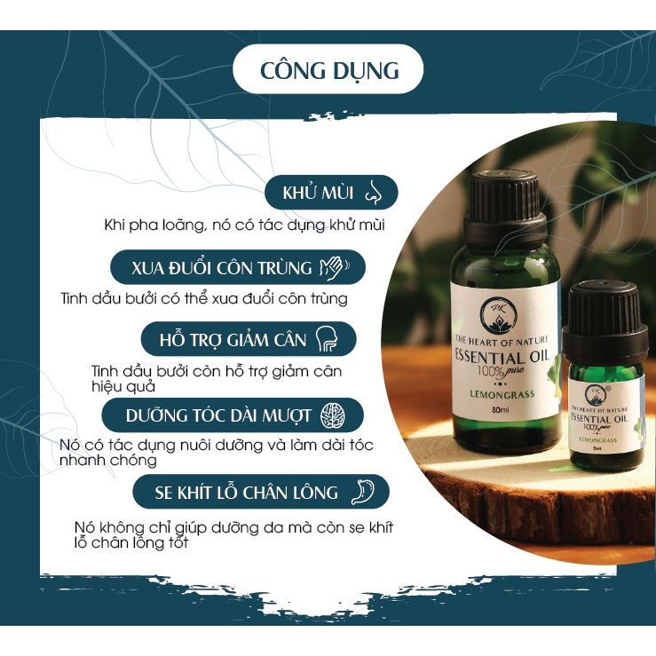 Tinh dầu bưởi Việt Nam PK 100ML - Tinh dầu nguyên chất