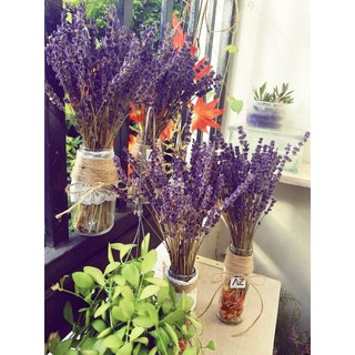Lọ hoa oải hương Lavender Fine  nhập khẩu Pháp (Bình có hoa như hình)