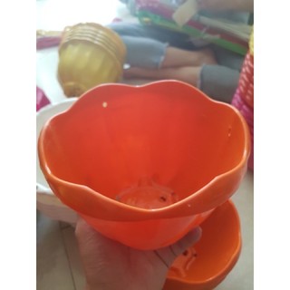 Chậu nhựa treo khía