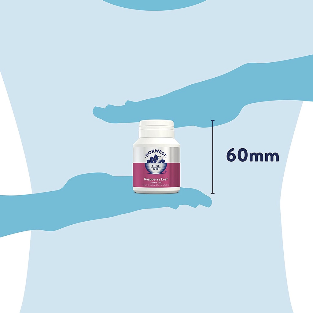 Raspberry Leaf - Dưỡng thai cho chó & mèo 100; 200 & 500 viên