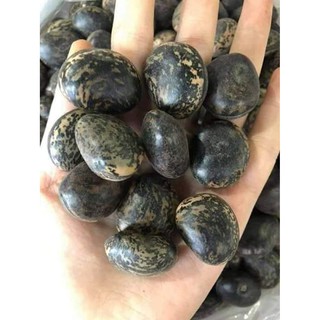 HẠT ĐẬU LÀO HÚT ĐỘC (5 hạt )