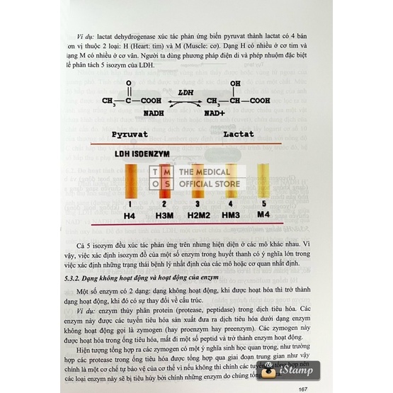 Sách - Hoá Sinh Y Học Tmos
