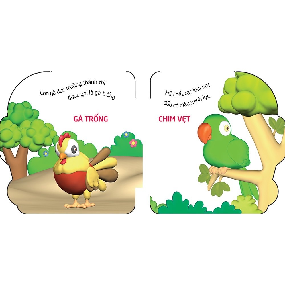 Sách - Thế Giới Trong Mắt Em - Chim