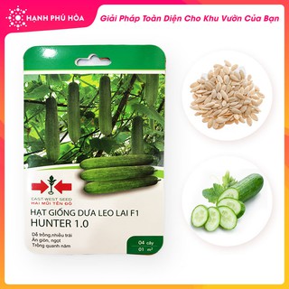 Hạt Giống Cao Cấp Dưa Leo Lai F1 Hunter 1.0 Hai Mũi Tên Đỏ - Dễ Trồng, Nhiều Trái, Ăn Giòn, Ngọt. Gói 30 Hạt