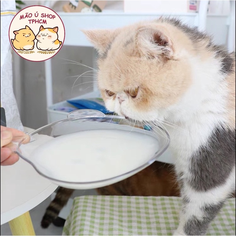 SỮA CHUA / YOGURT CHO CHÓ MÈO TỪ 1 THÁNG TUỔI