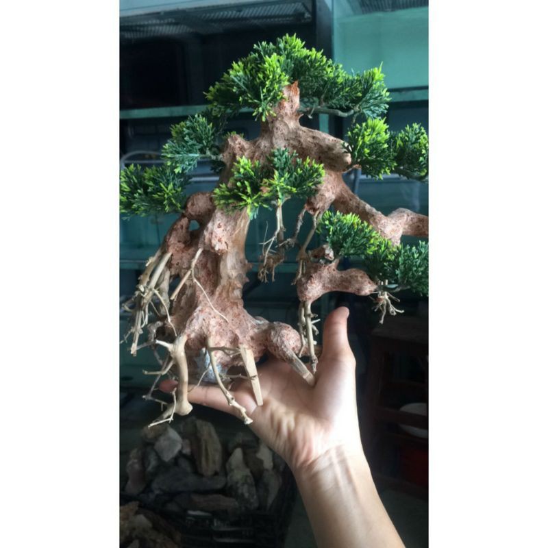 Lũa bonsai trang trí bể cá cỡ lớn-20×28cm