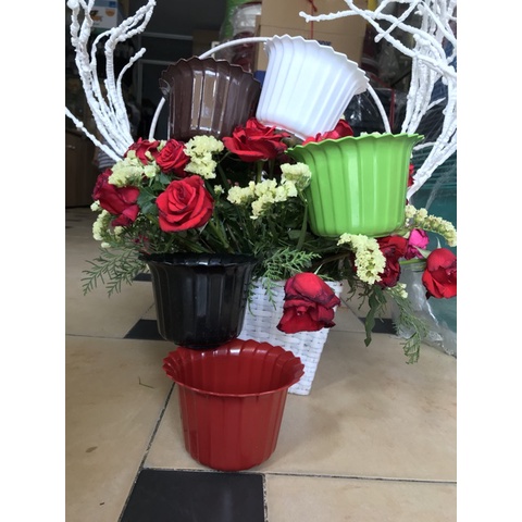 Chậu tròn xếp mini dễ thương màu ngẫu nhiên