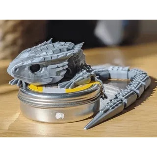 Thằn lằn Red-Eyed Crocodile Skink