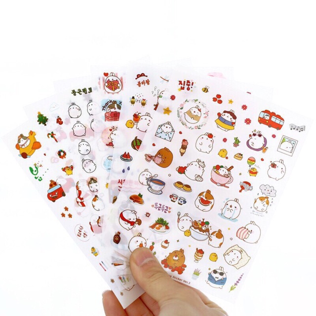 Set sticker 6 tấm ( nhiều mẫu)