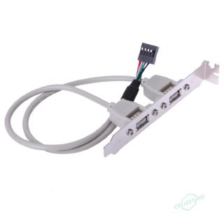 CS 2 Port Rear Panel Bracket Motherboard Cable USB 2.0 Connector Cable Adapter