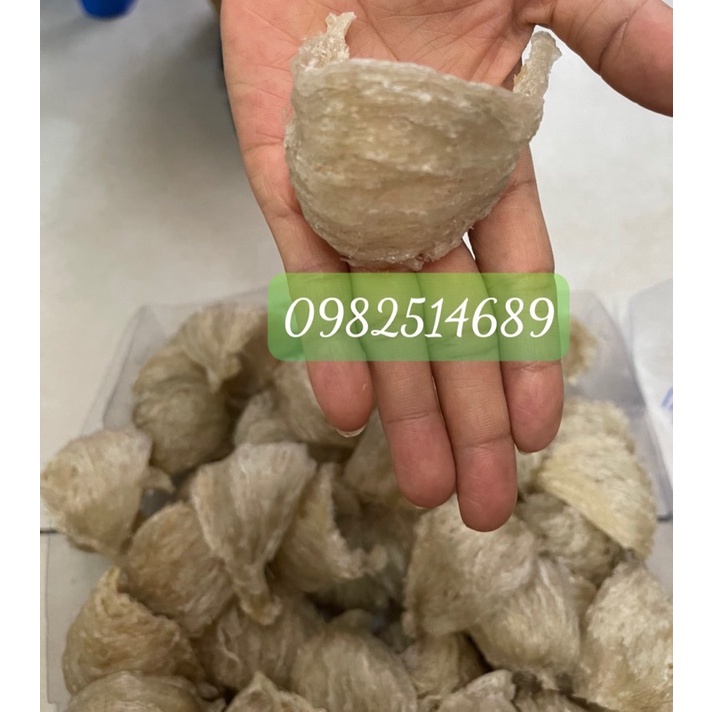Tổ yến đảo nguyên chất[tổ yến cao cấp nguyên chất 100%]yến sào nha trang | BigBuy360 - bigbuy360.vn