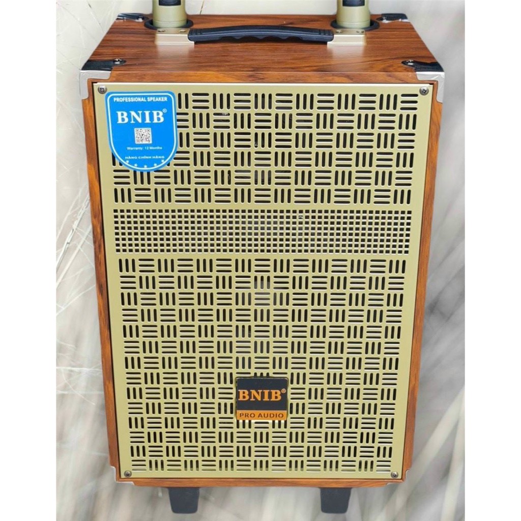 Loa Kéo Hát Karaoke BNIB M15 Bass 40 Cao Cấp - Hai Mic Kim Loại UHF Xịn Bảo Hành 12 Tháng
