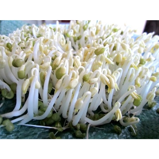 500gr Đậu xanh hữu cơ giống thuần - đỗ xanh làm giá