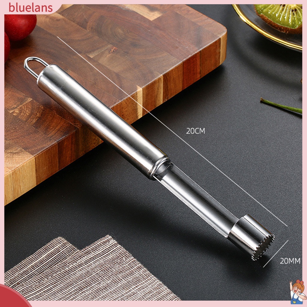Dụng Cụ Bỏ Ruột Trong Trái Cây Bằng Thép Không Gỉ Dùng Trong Nhà Bếp