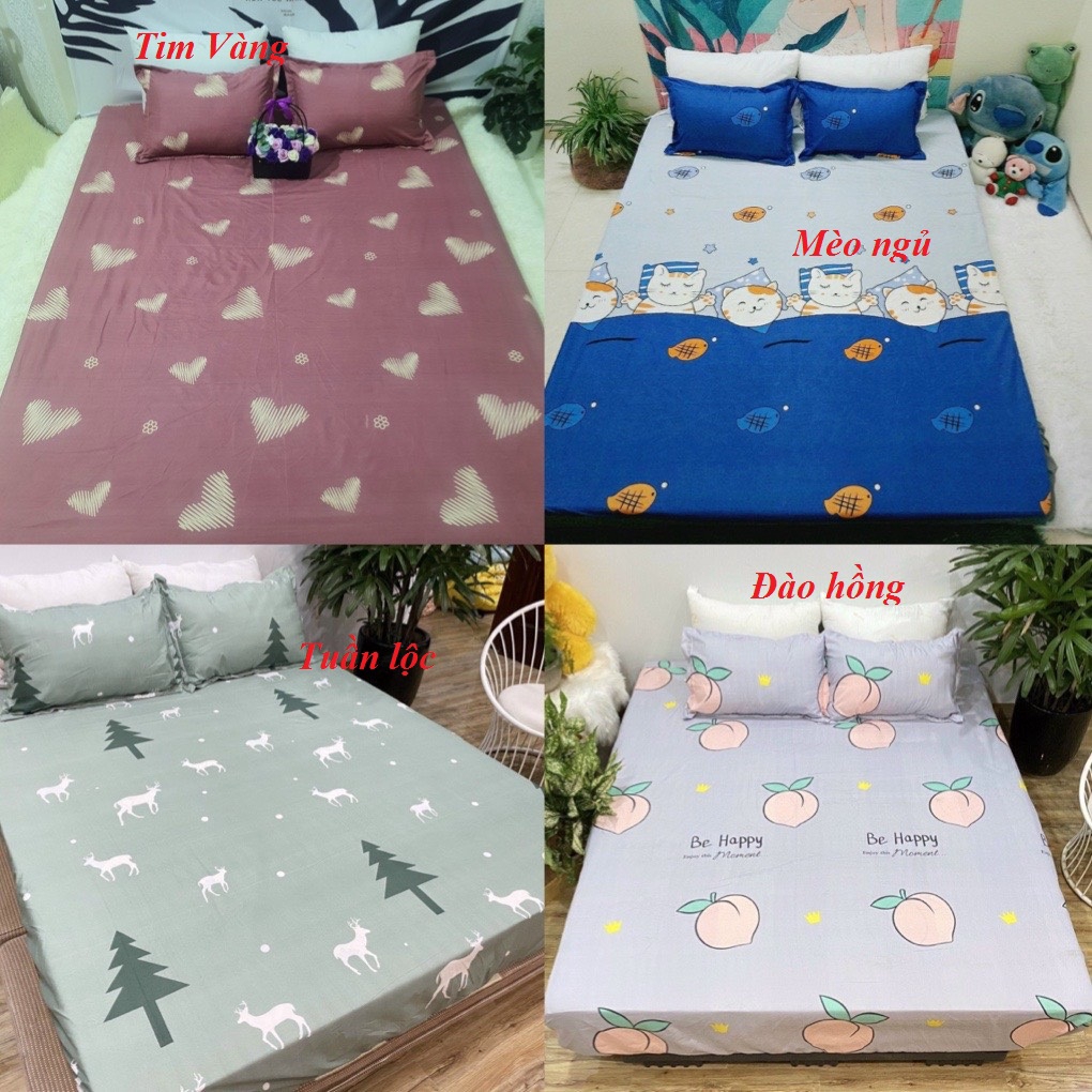 Bộ ga gối poly cotton được chọn mẫu