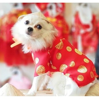 Nón lá đội cho thú cưng
