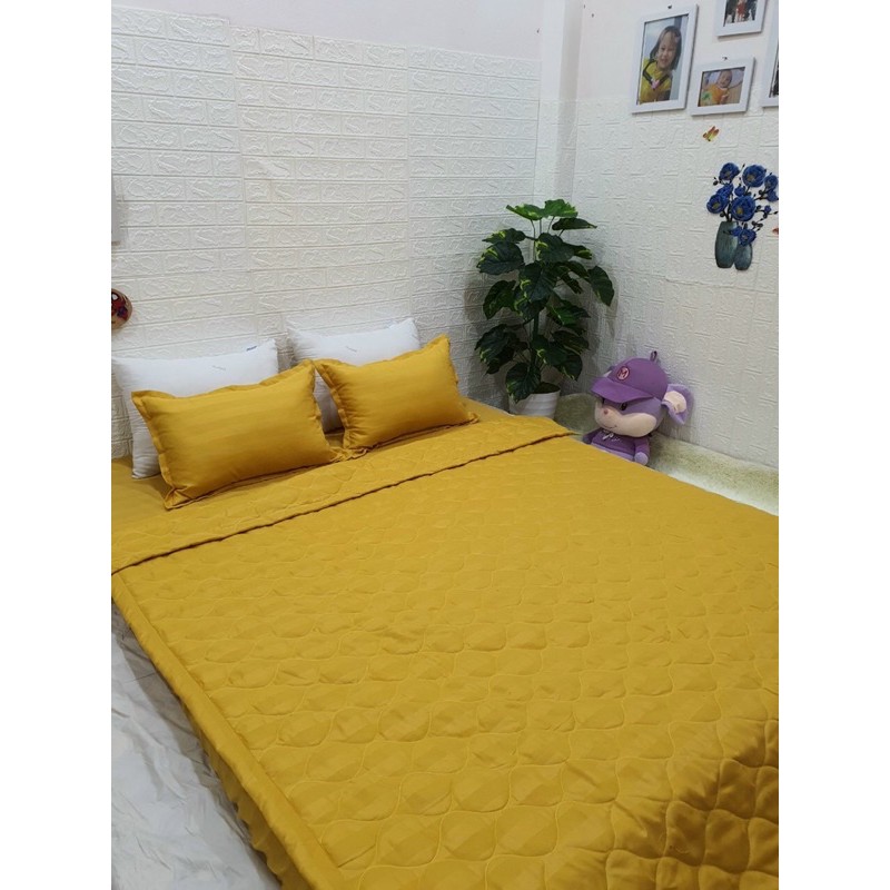 Sét chăn ga gối 5 món cotton poly kẻ 3F đơn giản, sang trọng.