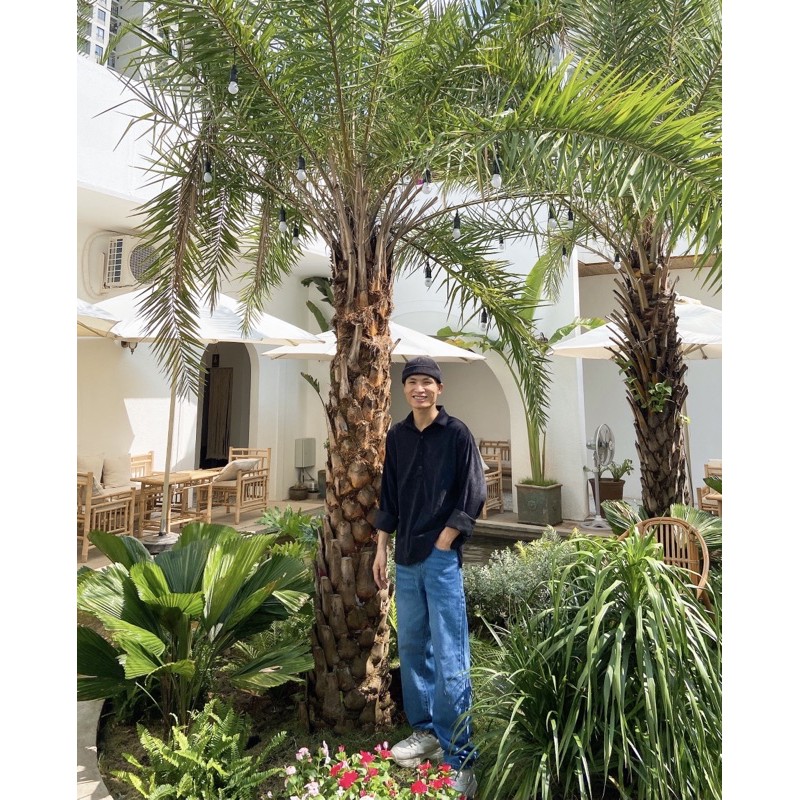 Jean xanh đậm ống rộng | BigBuy360 - bigbuy360.vn