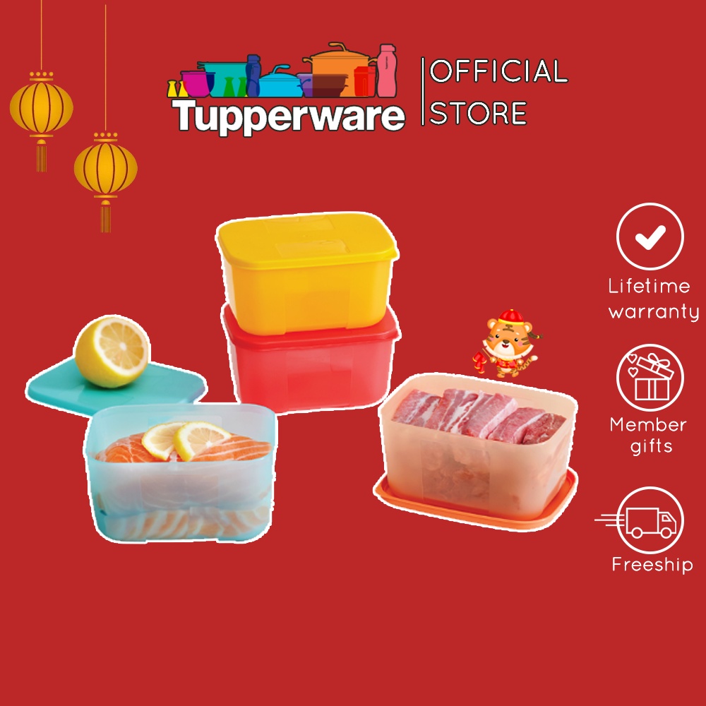 Bộ Hộp Trữ Đông Freezermate Rainbow Tupperware, Hộp Bảo Quản Thực Phẩm, Nhựa Nguyên Sinh An Toàn