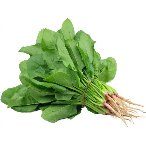 Hạt Giống Cải Bó Xôi chịu nhiệt (10g)