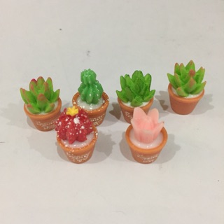 Phụ kiện trang trí