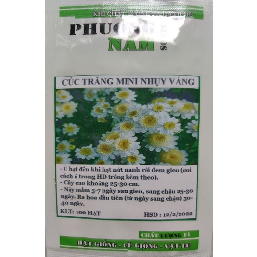 Hạt giống hoa cúc trắng mini nhụy vàng 50 hạt